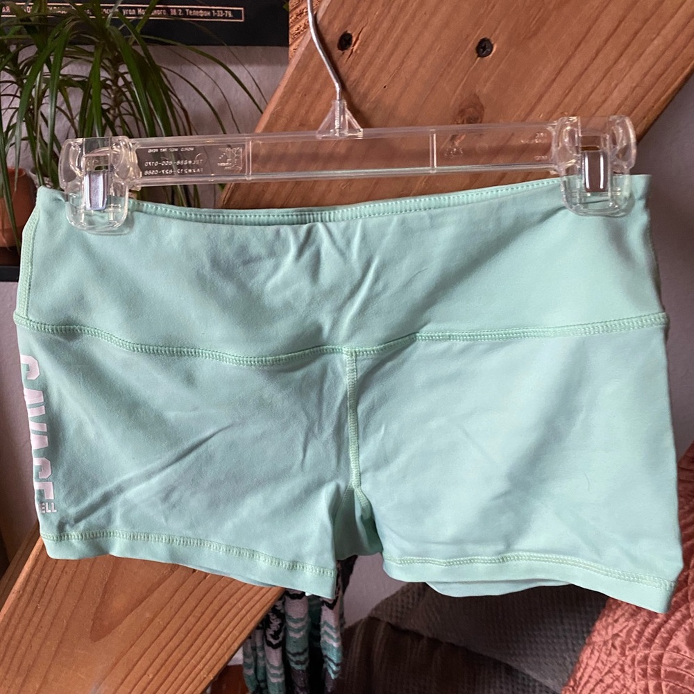 Savage Barbell 2.5 shorts size large Mint Green